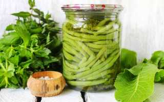 Консервированная спаржевая фасоль: простые и очень вкусные рецепты