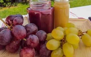 Соус из винограда: 5 лучших рецептов к мясу и для заготовок на зиму