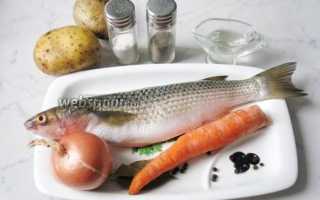 Рыба пеленгас — 9 самых вкусных рецептов приготовления