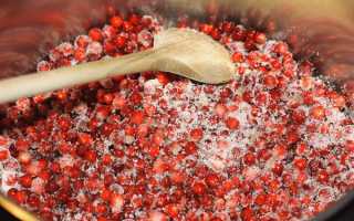 Заготовки из клюквы на зиму — 11 самых вкусных и простых рецептов