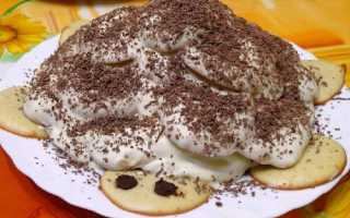 Торт «Черепаха» – 10 простых и вкусных рецептов в домашних условиях