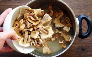 Вкусная и ароматная грибная подлива из сушеных грибов