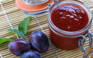 12 рецептов сливового ткемали: самые простые и вкусные в 2021 году