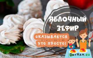Домашний зефир из яблок — рецепты из яблочного повидла и пюре