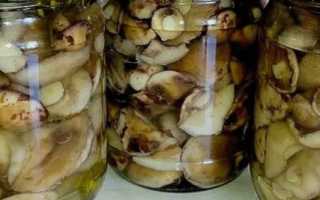 Маринованные маслята на зиму. Топ 12 самых вкусных и простых рецептов