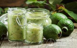 Как приготовить варенье из фейхоа: самые вкусные рецепты с фото